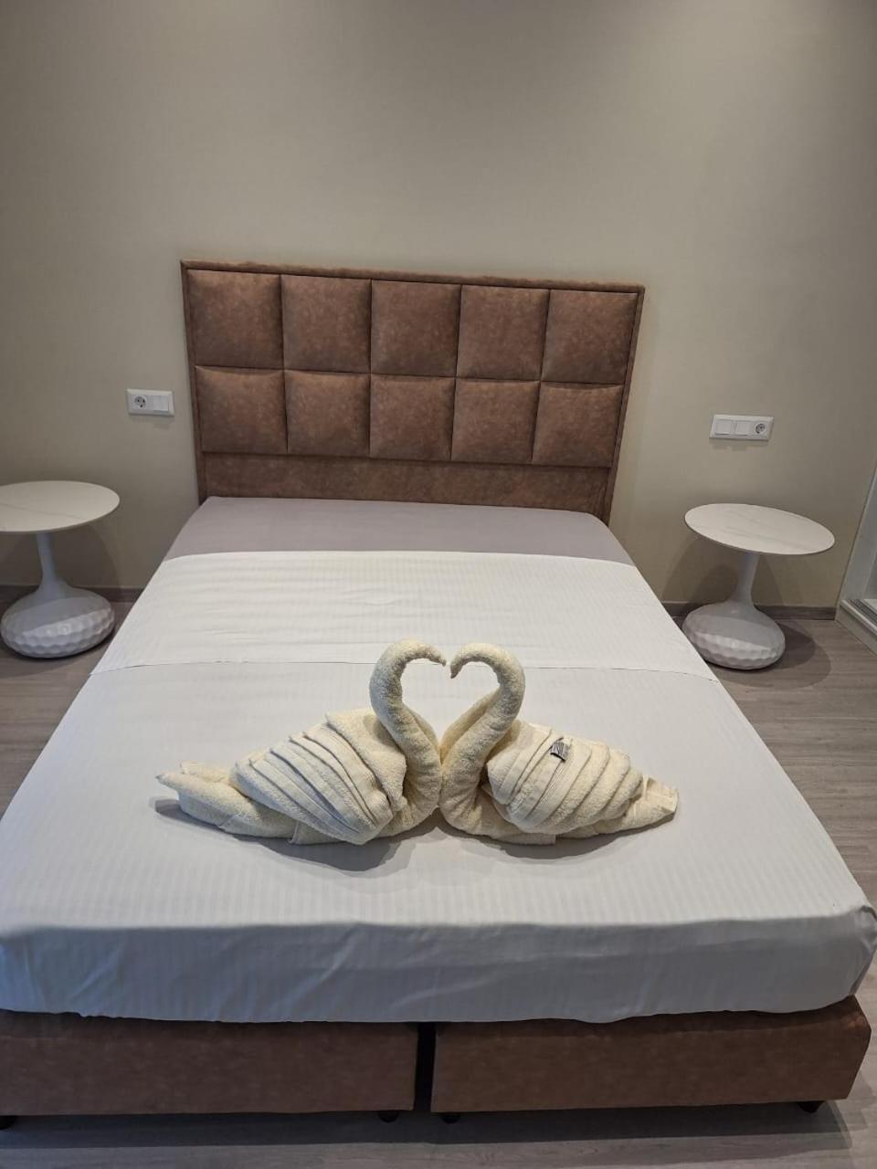 Stay Now, 600M From Acropolis 雅典 外观 照片